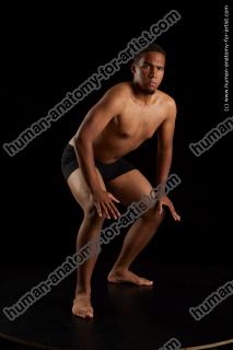 standing reference of garson09